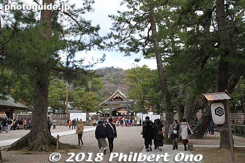 Approaching the third torii.
Keywords: shimane Izumo Taisha Shrine