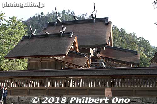 Honden (largest and tallest structure) flanked on both sides by smaller shrines.
Keywords: shimane Izumo Taisha Shrine