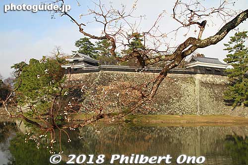 Keywords: shimane matsue castle