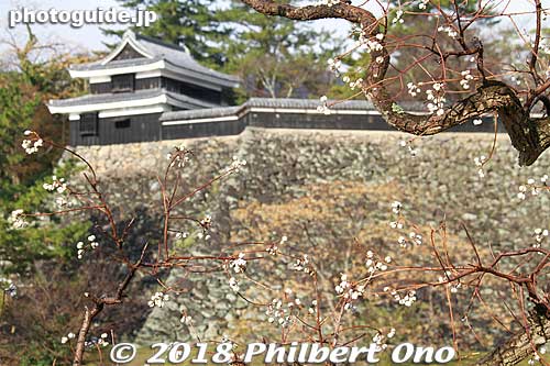 South Turret and plum blossoms.
Keywords: shimane matsue castle