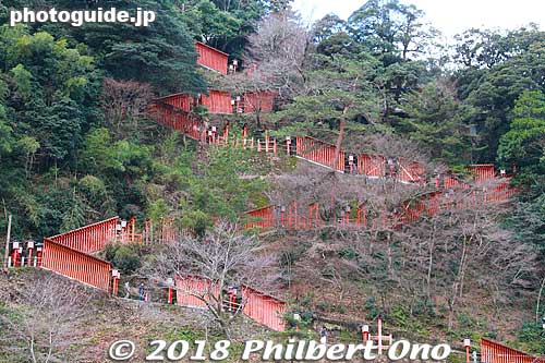 Taikodani Inari Jinja Shrine's many toriis going up the mountain.
Keywords: shimane tsuwano Taikodani Inari Jinja Shrine