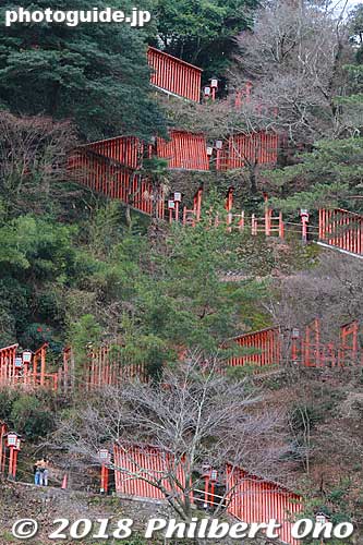 Taikodani Inari Jinja Shrine's many toriis going up the mountain.
Keywords: shimane tsuwano Taikodani Inari Jinja Shrine japanshrine