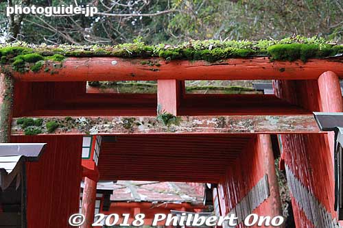 Moss growing on the top.
Keywords: shimane tsuwano Taikodani Inari Jinja Shrine