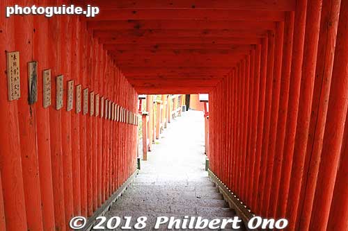 Walking back down from the shrine.
Keywords: shimane tsuwano Taikodani Inari Jinja Shrine