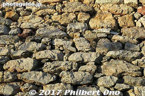 Stone walls of Hamamatsu Castle are famous for the nozura-zumi style (野面積み) with smaller rocks filling the gaps between bigger, irregular rocks.
Keywords: shizuoka Hamamatsu Castle