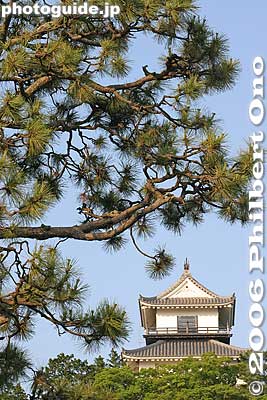 Pine tree and castle tower
Keywords: shizuoka prefecture kakegawa castle yamauchi kazutoyo