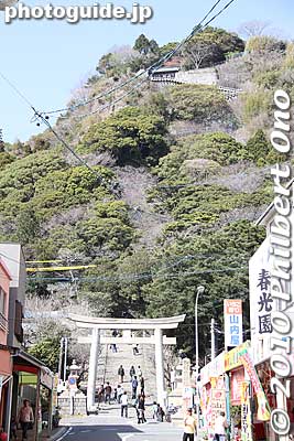 Torii with Kunozan in the background.
Keywords: shizuoka nihondaira kunozan 