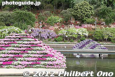 Floating Flower Pyramids 水上花壇
Keywords: tochigi ashikaga flower park wisteria flowers garden