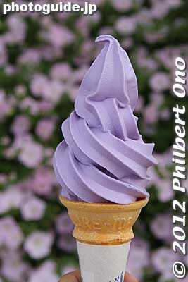 Wisteria ice cream does taste like wisteria. It was good and not too sweet. 藤ソフト
Keywords: tochigi ashikaga flower park wisteria flowers garden