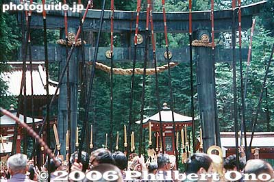 Futarasan Shrine's torii
Keywords: tochigi nikko toshogu shrine spring festival