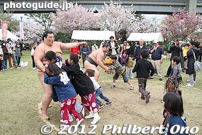 Wrestling with kids amid cherry blossoms from America.
Keywords: Tokyo Adachi-ku Toshi Nogyo koen Park goshiki sakura cherry blossoms matsuri festival flowers sumo wrestlers children kids japanchild