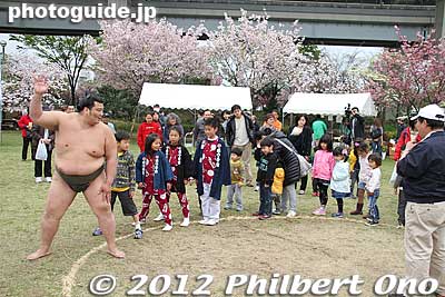 Train around the sumo ring.
Keywords: Tokyo Adachi-ku Toshi Nogyo koen Park goshiki sakura cherry blossoms matsuri festival flowers sumo wrestlers children kids japanchild