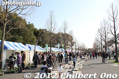 Food stalls line the main path.
Keywords: tokyo adachi-ku toneri park sakura cherry blossoms flowers matsuri festival