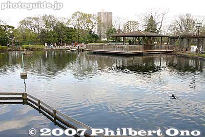 Duck pond
Keywords: tokyo arakawa-ku park duck pond