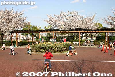 Special section for younger kids.
Keywords: tokyo arakawa-ku park cherry blossoms sakura children bicycles