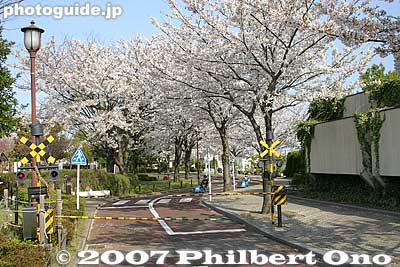There's even a train crossing gate.
Keywords: tokyo arakawa-ku park cherry blossoms sakura