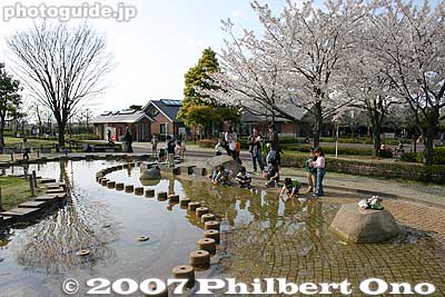 Keywords: tokyo arakawa-ku park cherry blossoms sakura pond