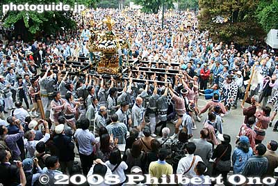 The mikoshi come from over 40 neighborhoods of Asakusa. 氏子各町神輿連合渡御、発進
Keywords: tokyo taito-ku asakusa sanja matsuri festival sensoji mikoshi portable shrine crowd