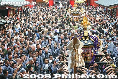Keywords: tokyo taito-ku asakusa sanja matsuri festival sensoji mikoshi portable shrine crowd