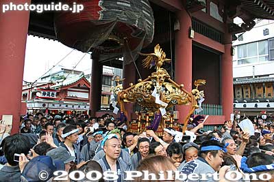 The mikoshi passes under Kaminarimon Gate, a symbol of Asakusa. The giant red lantern is collapsed upward to make room.
Keywords: tokyo taito-ku asakusa sanja matsuri festival sensoji mikoshi portable shrine crowd asakusabest matsuri5