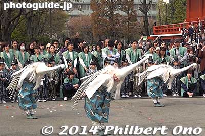 Keywords: tokyo taito-ku asakusa shirasagi no mai white heron dancers