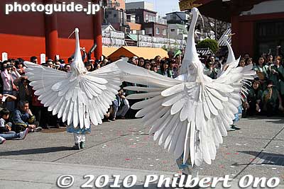 Shirasagi dancers spreading their wings.
Keywords: tokyo taito-ku asakusa shirasagi no mai white heron dancers festival matsuri 