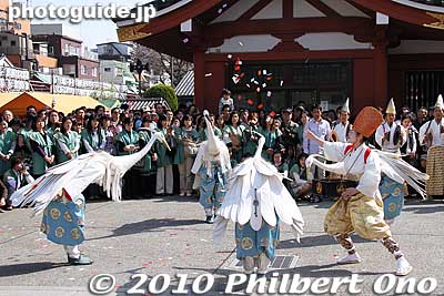 The bird feeder sprinkles more food for the birds.
Keywords: tokyo taito-ku asakusa shirasagi no mai white heron dancers festival matsuri 