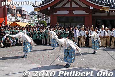 At the end of the dance, they bowed.
Keywords: tokyo taito-ku asakusa shirasagi no mai white heron dancers festival matsuri 