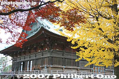 Rear of Kannon-do main worship hall and autumn leaves
Keywords: tokyo bunkyo-ku ward shingon buddhist temple autumn fall leaves foliage