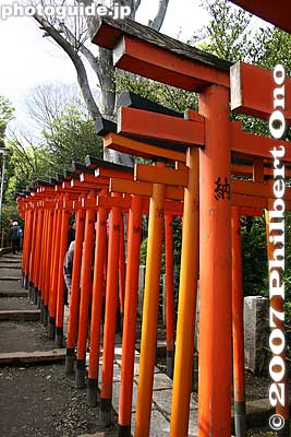 Torii gates
Keywords: tokyo bunkyo-ku nezu jinja shrine