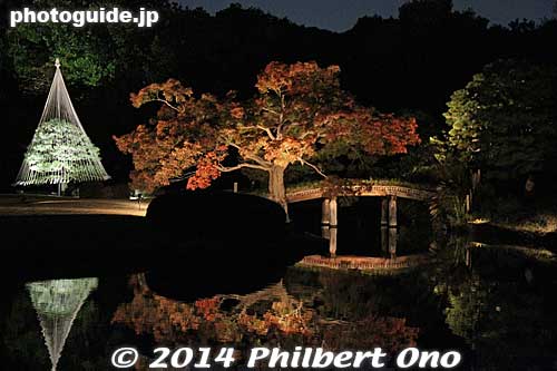 Keywords: tokyo bunkyo-ku ward rikugien japanese garden fall autumn leaves foliage momiji maple night
