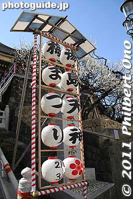 Keywords: tokyo bunkyo-ku ward yushima tenjin tenmangu shinto shrine ume matsuri plum blossoms flowers festival 
