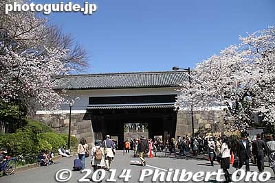 Tayasu Gate
Keywords: tokyo chiyoda-ku chidorigafuchi cherry blossoms sakura
