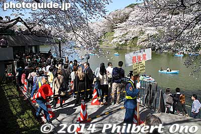 Long line for rowboats. 1,600 yen/hour or 800 yen/30 min.
Keywords: tokyo chiyoda-ku chidorigafuchi cherry blossoms sakura