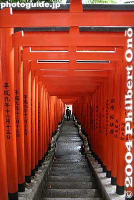 Inari Sando torii gates 稲荷参道
Keywords: tokyo chiyoda-ku hie jinja shrine torii