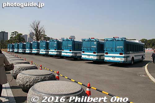 Police vans during cherry blossom season when they opened Inui-dori to the public in late March to April 3, 2016. 皇居乾通り一般公開
Keywords: tokyo chiyoda-ku imperial palace