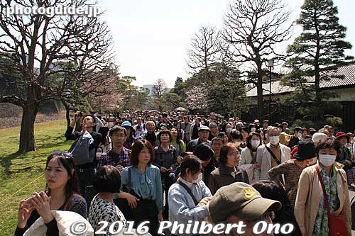 Lots of people, but very civil. No pushing or shoving. No time limit either. I took my time, taking pictures.
Keywords: tokyo chiyoda-ku imperial palace inui-dori sakura cherry blossoms