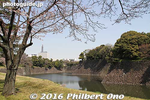 Keywords: tokyo chiyoda-ku imperial palace inui-dori sakura cherry blossoms
