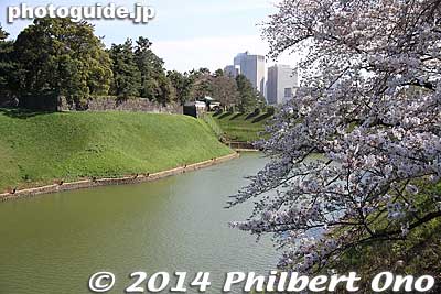 Hanzo Moat with Hanzomon Gate in the distance.
Keywords: tokyo chiyoda-ku imperial palace kokyo hanzomon sakura cherry blossoms