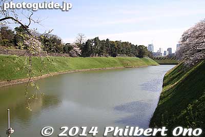 Hanzo Moat, near Hanzomon Gate.
Keywords: tokyo chiyoda-ku imperial palace kokyo hanzomon sakura cherry blossoms