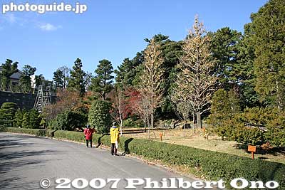 Prefectural trees from all prefectures 都道府県の木
Keywords: tokyo chiyoda-ku imperial palace kokyo edo castle ninomaru garden tree