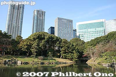 Keywords: tokyo chuo-ku hama-rikyu garden pine tree matsu pond skyscrapers