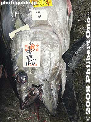 Tuna head
Keywords: tokyo chuo-ku tsukiji fish market Metropolitan Central Wholesale Market tuna