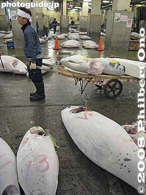 Hand-drawn cart.
Keywords: tokyo chuo-ku tsukiji fish market Metropolitan Central Wholesale Market frozen tuna