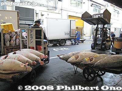Keywords: tokyo chuo-ku tsukiji fish market Metropolitan Central Wholesale Market frozen tuna