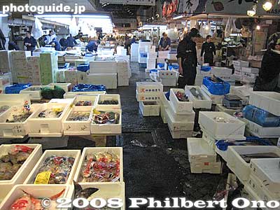 Styrofoam and plastic cartons contain all kinds of fish.
Keywords: tokyo chuo-ku tsukiji fish market Metropolitan Central Wholesale Market