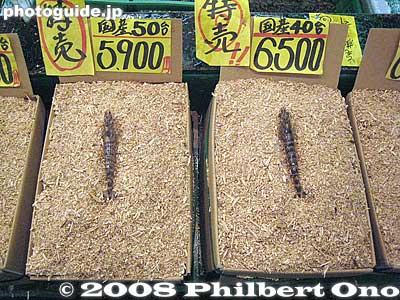 Prawns
Keywords: tokyo chuo-ku tsukiji fish market Metropolitan Central Wholesale Market