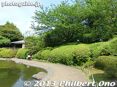 Azalea bushes before they bloomed.
Keywords: tokyo edogawa ward gyosen park heisei japanese garden