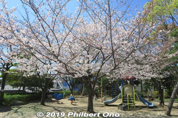 Shinkawa Kyuyo Park. Riverside pocket park. 新川休養公園
Keywords: tokyo edogawa-ku shinkawa shin river cherry blossoms sakura flowers
