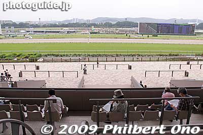 View from Fuji View Stand.
Keywords: tokyo fuchu race course horse racing 
